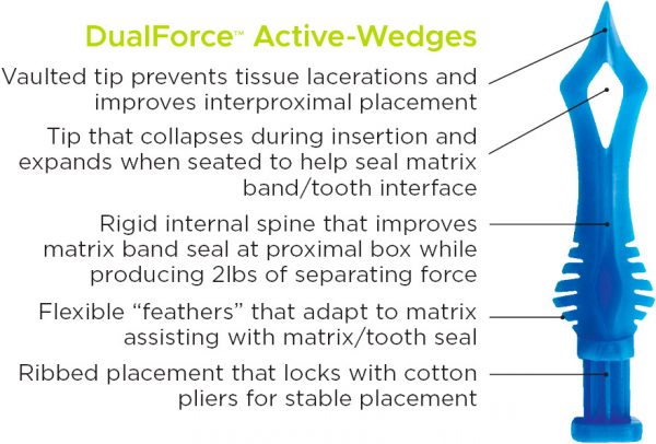 DualForce-Active-Wedges Dual Force Active-Wedges