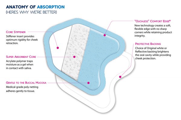Anatomy of absorption