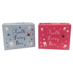 ADM Tooth Fairy Box (10)