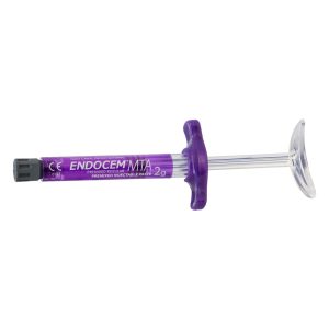 Dentalife Endocem MTA Premix Injectable Paste 2gm Syringe (1)