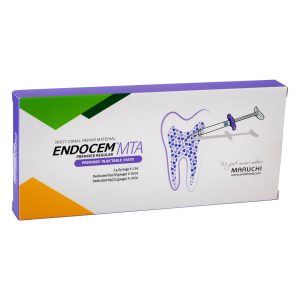 Dentalife Endocem MTA Premix Injectable Paste 2gm Syringe (1)