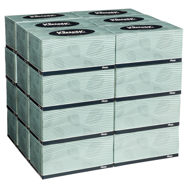 Kimberly-Clark Kleenex Facial Tissues White 2 Ply 200's (24)
