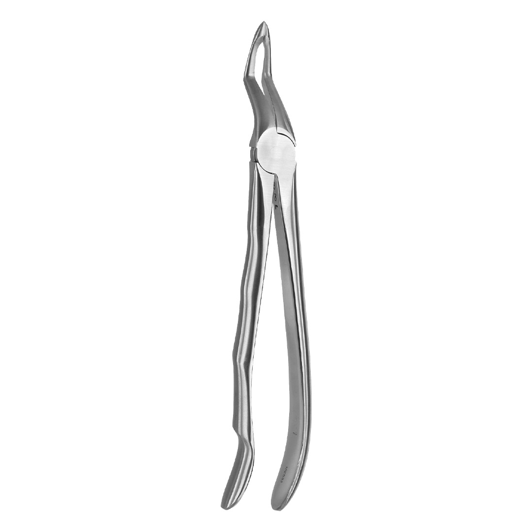 Medesy Extraction Forceps No. 51-AL with Blade Beaks Medesy Extraction Forceps No. 51-AL with Blade Beaks