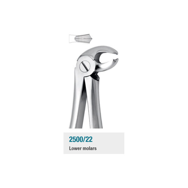 Medesy Extraction Forceps No. 22