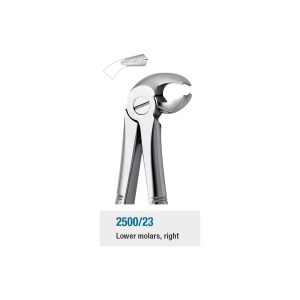 Medesy Extraction Forceps No. 23