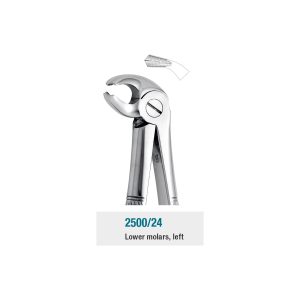 Medesy Extraction Forceps No. 24