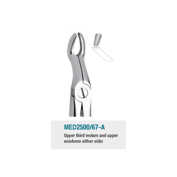Medesy Extraction Forceps No. 67-A