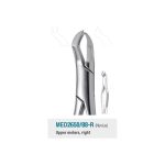 Medesy Extraction Forceps No. 88-R Nevius