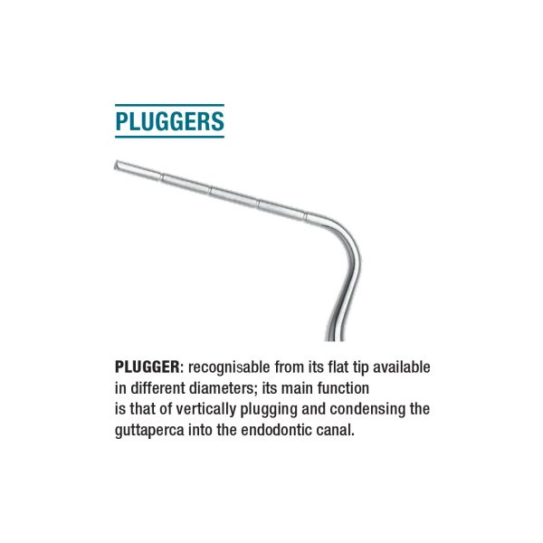 Medesy Endodontic Plugger ISO No. 60 0.6mm Dia. Blue
