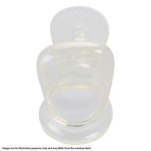 3M Solventum Transparent Strip Crown Pedodontic Anterior Upper Left Lateral No. 4 (5)