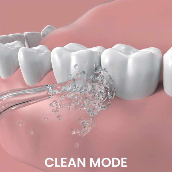 GO2 Dentagenie Water Flosser