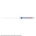 Thomas Lentulo Paste Fillers 21mm No. 25-40 Assorted (4)