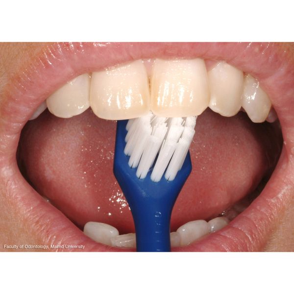 TePe Nova Medium Toothbrush Individually Wrapped