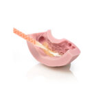 Zhermack Zetalabor C-Silicone Rigid 2.6kg Tub