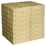 Kimberly-Clark Scott Facial Tissues White 2 Ply 100's (48)