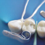 TDV Pre-Contoured Mylar Transparent Polyester Matrices Premolar (20)