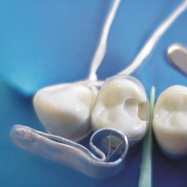 TDV Pre-Contoured Mylar Transparent Polyester Matrices Molar (20)