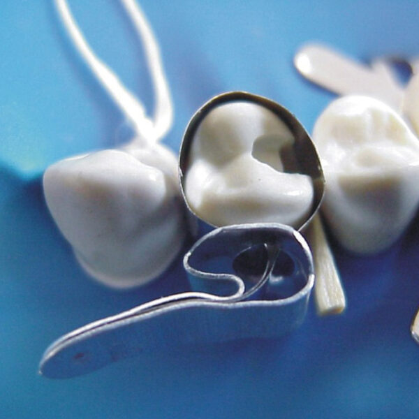 TDV Pre-Contoured Metallic Matrices Premolar (20)