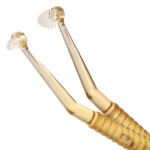TDV Cervical Matrix Instrument (2)