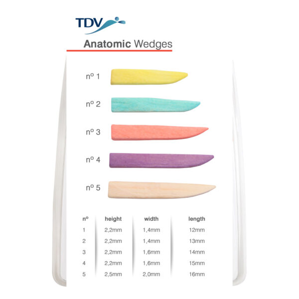 TDV Anatomic Wooden Wedges Assorted (500)