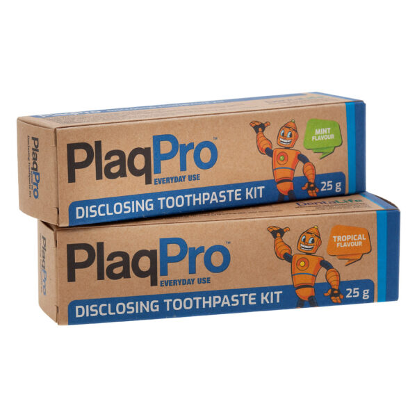 Dentalife PlaqPro Toothpaste Mint 25gm Tube & Torch Kit