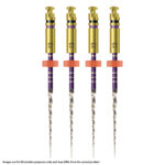Kerr Endodontics Traverse Rotary Glide Path Files .06 Taper 25mm .13mm Tip (4)