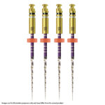 Kerr Endodontics Traverse Rotary Glide Path Files .06 Taper 21mm .18mm Tip (4)