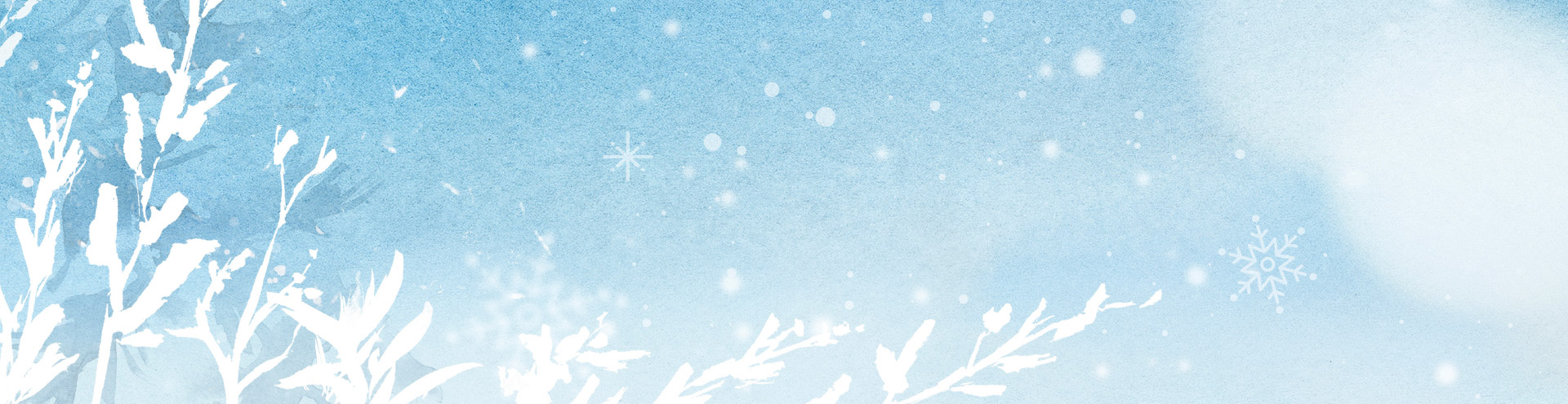 Winter Super Sale